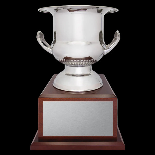 Silver trophy cup with a wooden base on a white background